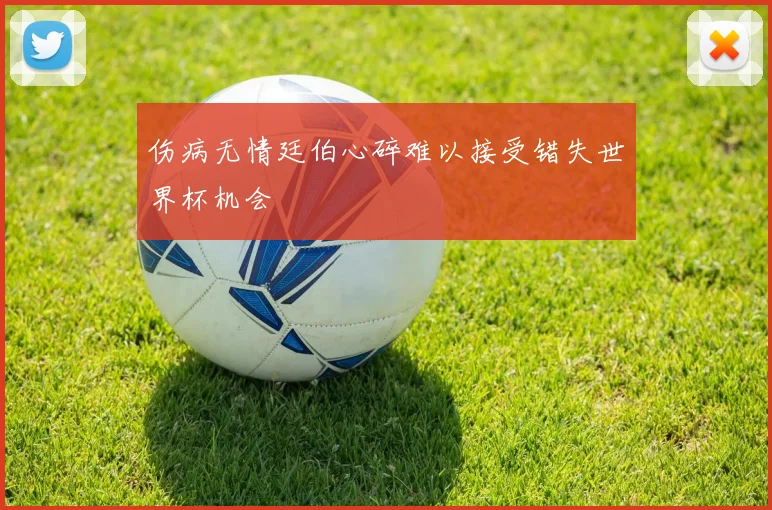 伤病无情廷伯心碎难以接受错失世界杯机会